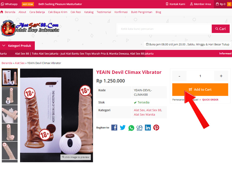 Cara-Belanja-di-Alat-Sex-88-Com