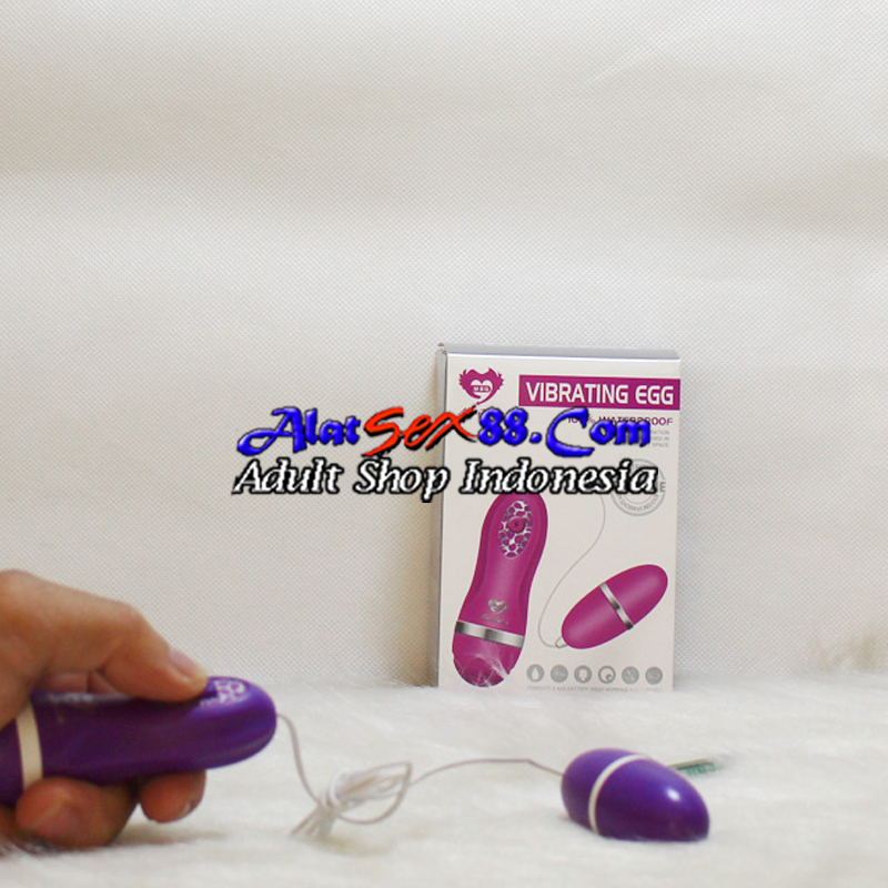 Alat Sex Wanita Vibrating Egg Silicone Waterproof